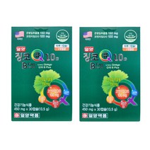 [하늘문 케어] 일양 징코큐텐 비플러스 항산화 면역 기억력개선 은행잎 추출물 코엔자임 함유, 60캡슐, 60정