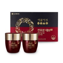 생활정원 진효삼 대보 60일분 떠먹는 발효홍삼