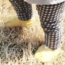 [천삼백케이] [꿈꾸는두부] 날아라미쎄스깡 발랄슈즈 옐로우 아기신발 만들기
