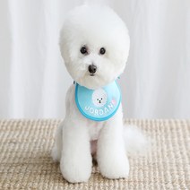 카민프로젝트 스마일 베베 커스텀 스카프 (블루)