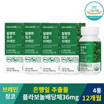 식약처인증 징코 브레인 은행잎추출 분말 4통 12개월 플라보놀배당체 프라보놀배당체 은행잎 추출물 징코 진코 인지력 개선 은행물 추출물 기억력에 좋은 공시생 고3수험생 수험생 뇌 건강 영양제