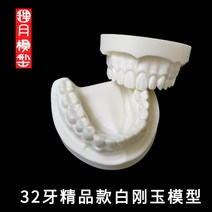 치아모형 화이트 커런덤 준비 모델 도자기 기본 금형 의사 연습 연습 경도 준비 캐비티, 1 지불 32 치아 화이트 커런덤