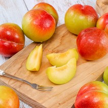 [초록자연] 추희 자두 5kg (51-60과) (상) 제철과일, 상세 참조