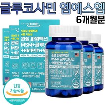 미국산 직수입 완제품 글루코사민 엠에스엠 6개월분 식약처 인증 건강기능식품 부모님 노년기 중장년기 직장인 활력에 도움을 주는 종합 영양제 1일 2정 간편하게 대용량 건강보조제