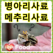 초이사료 병아리사료 1kg 소분판매전문 종합비타민 폐사방지 비타민 천연미네랄 무기질 다량함유 [명품사료], 12번 병아리 사료통
