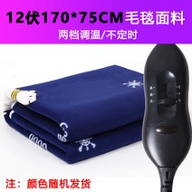차량용 캠핑 차박 전기장판 12v 승용차용 2인용 24v 싱글 대 화물차 침대 직류 스마트 방수 전기요, 12V-길이170cm/가로75cm2단스위치