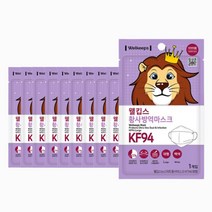 웰킵스 스마트황사방역 마스크 KF94 대형 25매