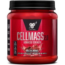 비에스엔 셀마스 셀매스 2.0 아크틱 베리맛 495g -글루타민 아미노산 크레아틴 BSN CELLMASS 2.0 Arctic Berry