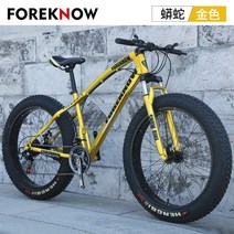 MTB자전거 광폭타이어 팻바이크 도시 산악용 로드 성인용, 21단, 24인치, 골드(스포크휠)