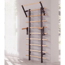 벽걸이형 슈로스바 밸런스 스트레칭 홈짐 철제 프레임, 프레임+단일바+더블바