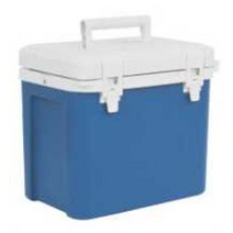 온도계 아이스박스 백신 보관 캠핑용 쿨러 병원 차박, 표준모델 - 12L