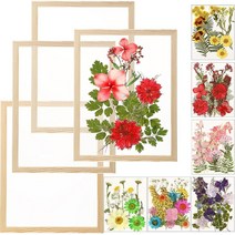 정품 액자프레임 Wesiti 4피스 27.9 x 35.6cm(11 14인치) 플로팅 프레임 압착 꽃 6팩 나무 양면 프레스 사진 프레임 말린 키트 DIY 웨딩 갤러리 벽 홈