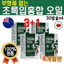 초롱이 홍합 Green Lipped Shell Mussels Oil 그린 푸른입 오일 추출 초록 빛 입 초록입 성분 푸른 초롱잎 청홍합 뉴질랜드 기름 NCS 4개 120캡슐 4개월