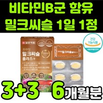 일양약품 프라임 밀크씨슬 플러스 밀크시스 milk thistle 실리마린 silymarin complex 밀크티슬 밀크씨유 시리마린 복합 비타민 B군 식약처 인증 직장인 추천, 6박스(6개월분)