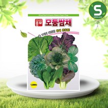 솔림텃밭몰 모둠쌈채씨앗 1500립 쌈채씨앗 쌈채소 모듬쌈채