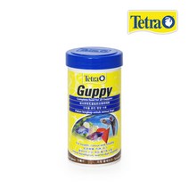 테트라 구피 75g 250ml, 1개