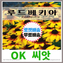 [OK씨앗] [루드베키아] 루드베키아씨앗 종자(오케이씨앗), 1g