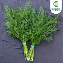 [온도씨]가락시장 딜 100g, 단품