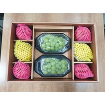 한가위 추석 과일선물세트, 과일선물세트 5호, 1세트