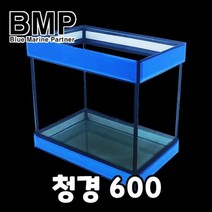 BMP 피시박스 청경 600 유리 어항 수조 60x35x42cm D, 없음