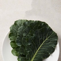 유기농 케일 1kg 주스용 즙용 케일 녹즙재료, 유기농 즙용 케일 2kg