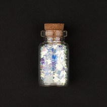 [안산뷰티모아] 홀로그램 나비글리터co 나비아트/나비네일IN 12칸세트/bgw 나비아트 나비네일 (수량구매환영), 1개, [홀로그램1병]