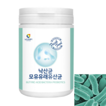 뉴트로웨이 낙산균 모유 유래 유산균, 230g, 1개