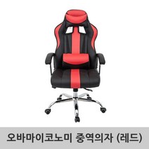 중역용의자_오바마이코노미, 쿠팡 ZERONE 블루