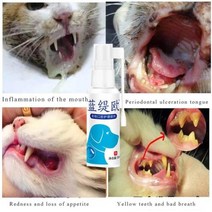 애견 강아지 영양제 개와 고양이 구내염 스프레이 30ml drooling 나쁜 호흡 껌 치주염 궤양