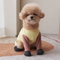 해피러시 마카롱하네스슈즈웨어 애견신발 강아지 올인원 옷 강아지신발, 옐로우