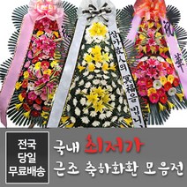 다양한 전국꽃배달서비스축하화환 추천순위 TOP100