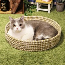 캐티맨 고양이 라탄 라운드 바구니, 1개