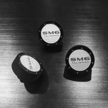 AL 헤어라인 번호판 볼트 SM6 탈리스만, 옵-션이_없는_상품