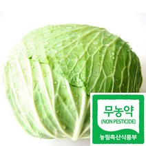 국산 친환경인증 무농약 양배추 1kg(반통~1통) 생식용, 1개, 1kg