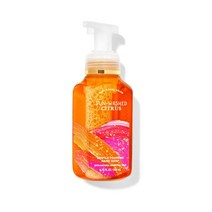 배쓰앤바디웍스 썬워시드 시츄러스 포밍 핸드워시 259ml SUN-WASHED CITRUS Hand Soap