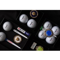 티맥스 티맥스골프용품선물세트 30가지선택가능 3피스2피스 골프공 기능성골프티 금장볼마커, 라이언볼마커C형
