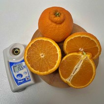 제주 신품종 스테비아급 고당도 한라봉 써니트, 써니트/정품/3kg/중대과(12과내외)