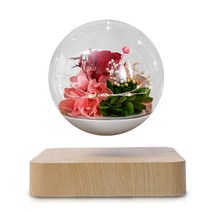 자기 부상 장미 영원한 호일 인공 꽃 돔에 조명 포함 홈 장식 발렌타인 데이 생일 선물, 01 라이트 그레이