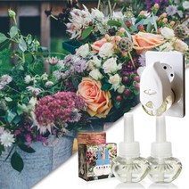 디퓨저플러그 디퓨저 플러그 리필세트_가든파티/전기, 단품없음, 1개