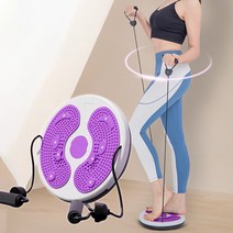 한정세일) 다이어트 헬스 허리운동 뱃살 홈트 트위스트 운동기구, 한정세일_F360 (퍼플)