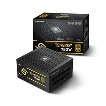 앱코 SUITMASTER TENERGY 750W GOLD Full Modular
