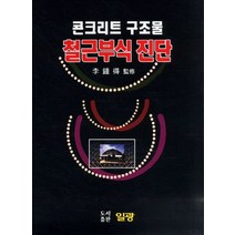 콘트리트 구조물 철근부식 진단, 일광, 편집부