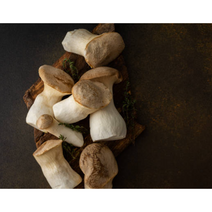 산지직송 가정용 참송이버섯 1kg 국내산참송이버섯 송이버섯 참송이 자연산송이버섯 송이버섯국산 참송이버섯선물세트 송이 버섯 국내산, 2kg