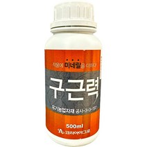 인황칼 500ml 코리아아그로 인산 황 칼슘 식물영양제 웃자람방지 생육증진 코리아아그로, 구근력 500ml