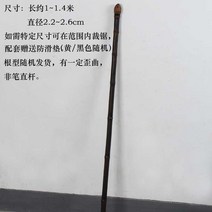 노인용지팡이 보라색 대나무 뿌리 클래식 우드 가지고 놀다 선장 등산 노년 신사 남자 젊은 클라이밍 2254403831, 보라색 대나무 뿌리 지팡이