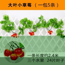 복도 장식 그린 등나무 페이크 덩쿨 라탄 심플 비닐 플라워 컬러 펀텐트 전시장 녹색 식물 트로피칼 2622582227, T73 특 왕포도 1가방 2