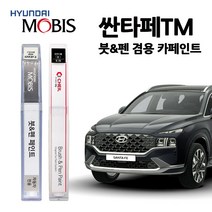 현대 모비스 싼타페 TM 카페인트 자동차 붓펜 M2F NKA PDW R2F ST2 T2X WW2, M2F(395)-마그네틱포스, 1개
