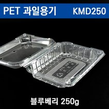 자체브랜드 과일포장용기 블루베리용기 산딸기포장 KMD250 500개