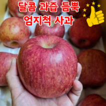 고당도 15브릭스 부사 사과 10kg 거창사과 나주배 선물세트 과일선물세트, 사과 선물세트8-9과(5kg내외)