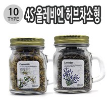 4S 올레비엔 허벌티 허브차소형 12종중 택1, 페퍼민트 013091
